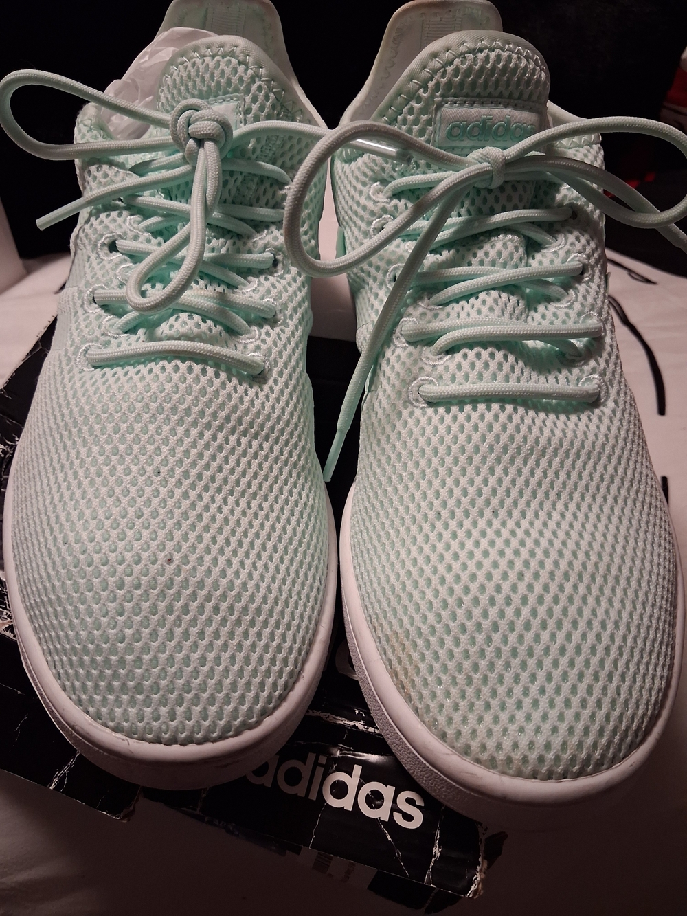 Adidas Women’s Mint Green Mesh Running Shoes